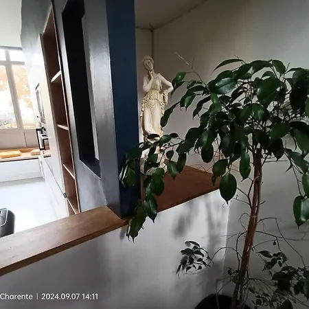 Apartment Zen *